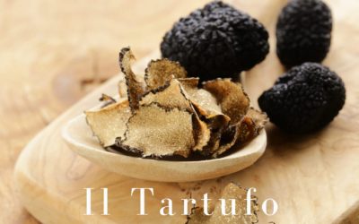 Il tartufo: la più alta tra le esperienze culinarie e di degustazione